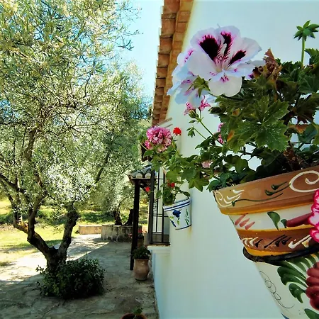 Belvilla By Oyo Cortijo Olivos Holiday home